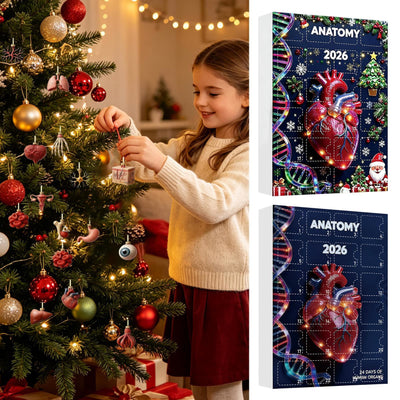Anatomi Adventskalender 2026 | 24 organ som julhängen