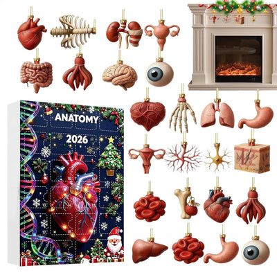 Anatomi Adventskalender 2026 | 24 organ som julhängen