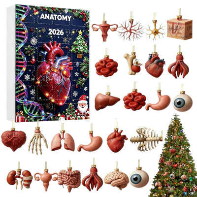 Anatomi Adventskalender 2026 | 24 organer som julepynt