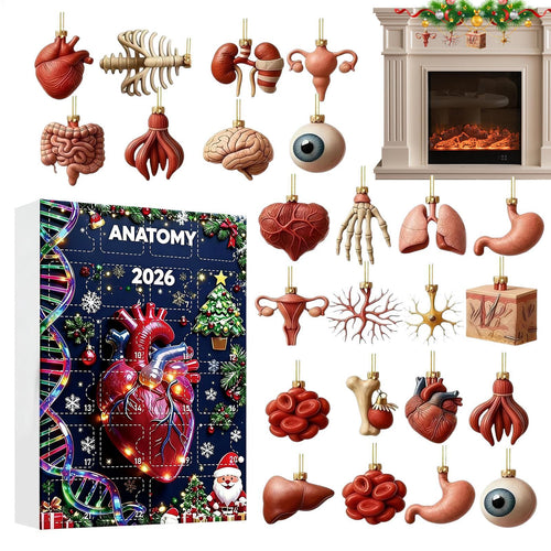 Anatomi Adventskalender 2026 | 24 organer som julepynt
