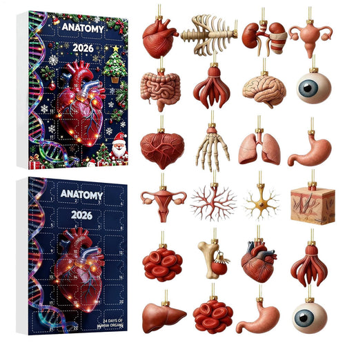 Anatomi Adventskalender 2026 | 24 organer som julepynt