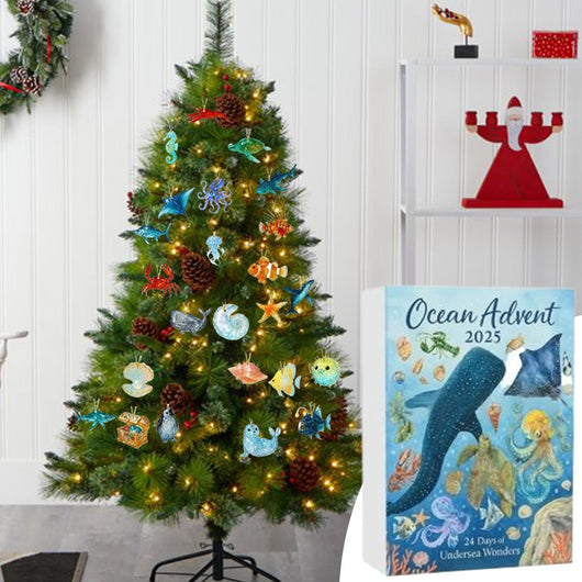 Havsdjur Adventskalender 2026 | 24 havsdjur som hängen
