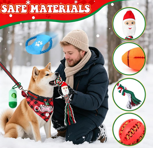 Hund Adventskalender 2026 | 24 presenter till hunden med koppel