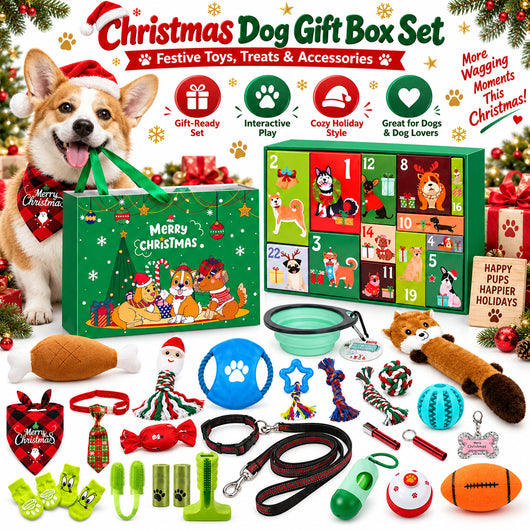 Hundeleker Adventskalender 2026 | 24 leker til hunden