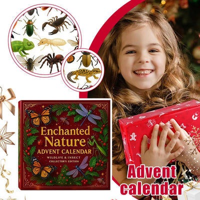 Insekter Adventskalender 2026 | 24 småkryp och vilda djur