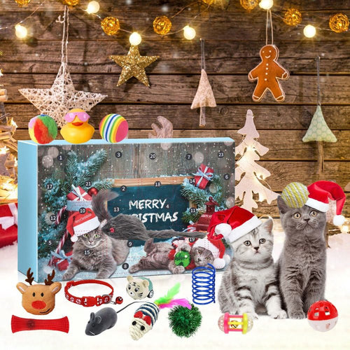 Katteleker Adventskalender 2026 | 24 leker til katten